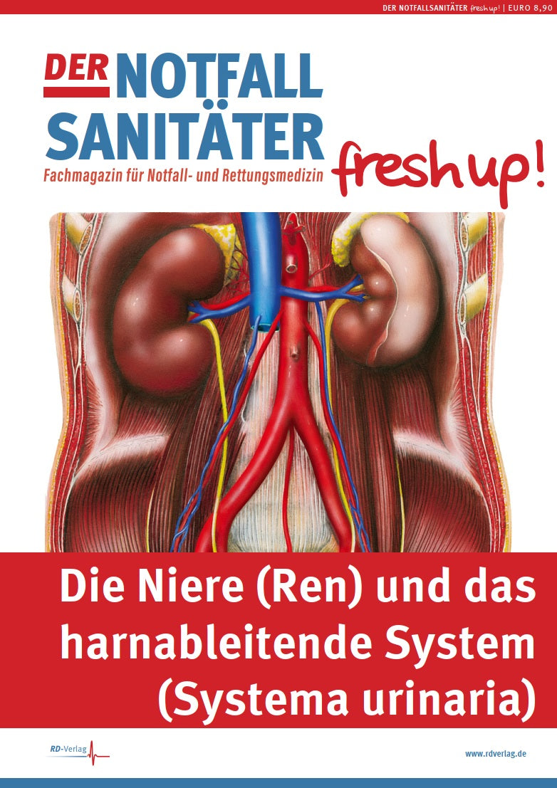 Der Notfallsanitäter fresh up! | Nieren und Harnsystem - Anatomie & Physiologie